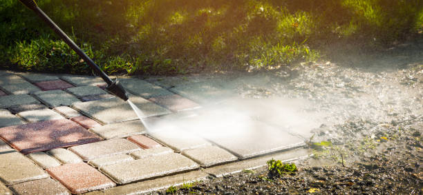 Best Animal Enclosure Cleaning  in Mount Pleasant, UT
